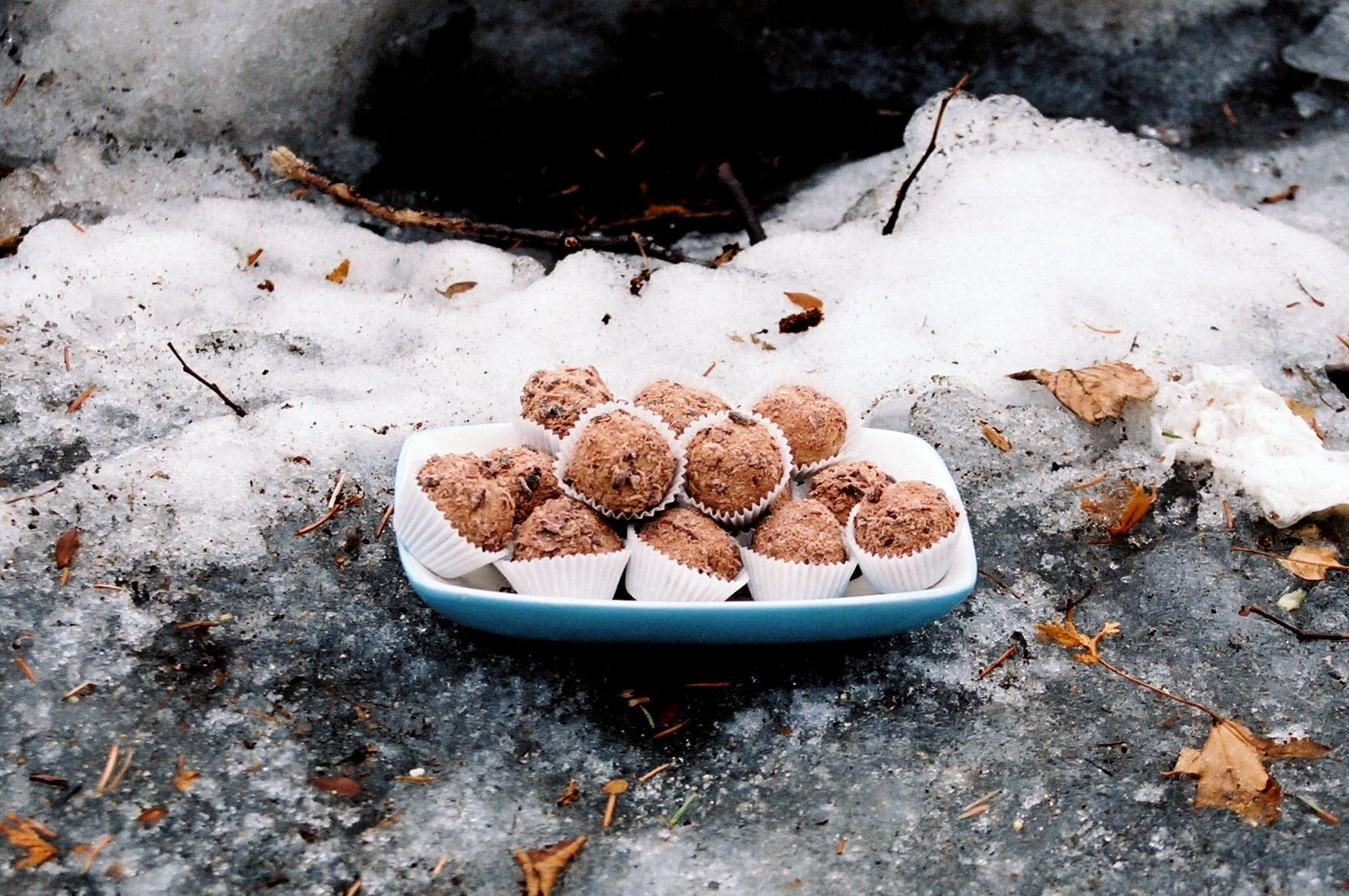 Wintry Mix truffle photo